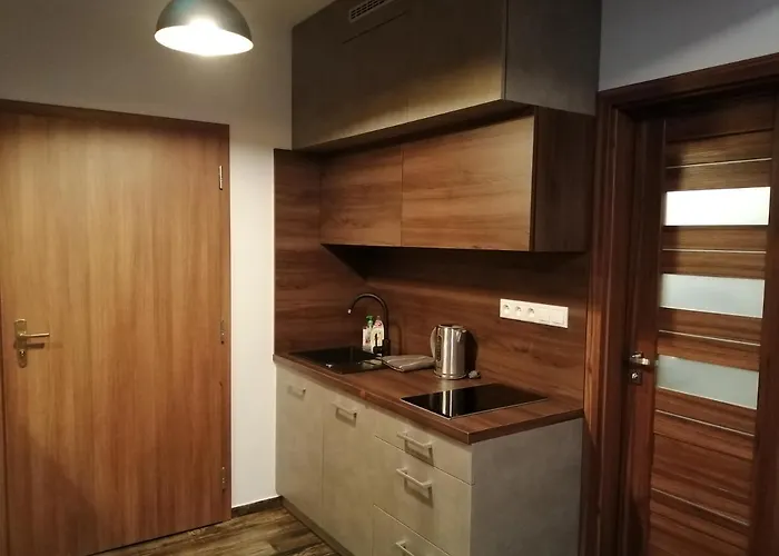 公寓 Apartmanovy Dom Romantika - 4 塔莱