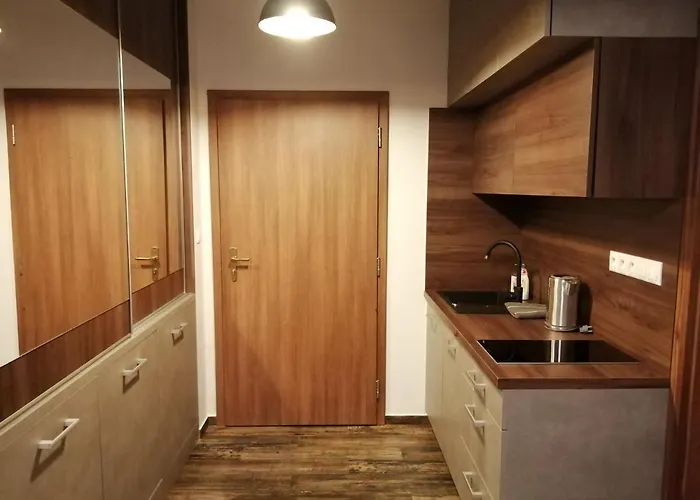 公寓 Apartmanovy Dom Romantika - 4 *